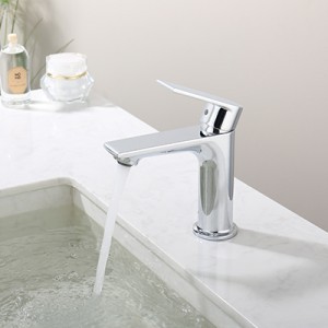 Single Lever Basin Faucet  2004-CP