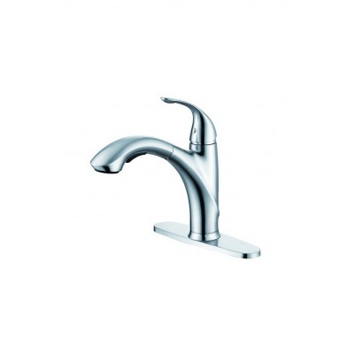 Pull out/down kitchen faucet 1001-CP