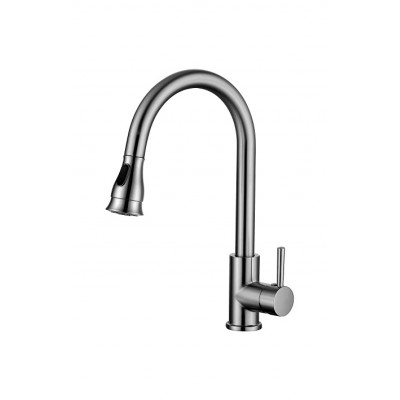 Pull out/down kitchen faucet 1011-NP