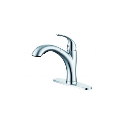 Pull out/down kitchen faucet 1002-CP