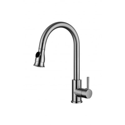 Pull out/down kitchen faucet 1013-NP