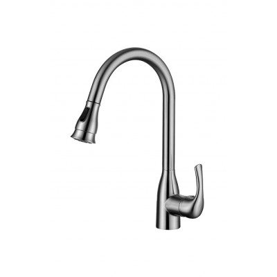 Pull out/down kitchen faucet 1003-NP