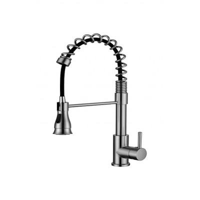Pull out/down kitchen faucet 1017-NP