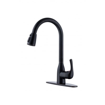 Pull out/down kitchen faucet 1006-ORB