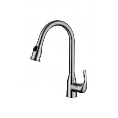 Pull out/down kitchen faucet 1009-NP
