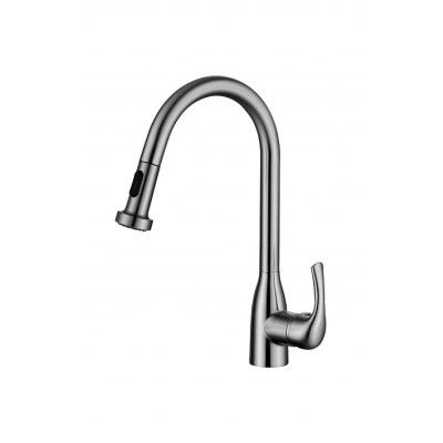 Pull out/down kitchen faucet 1010-NP