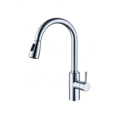 Pull out/down kitchen faucet 1021-CP